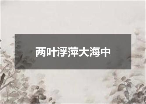 两叶浮萍大海中