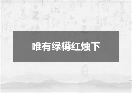 唯有绿樽红烛下