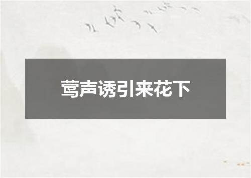 莺声诱引来花下