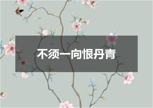 不须一向恨丹青