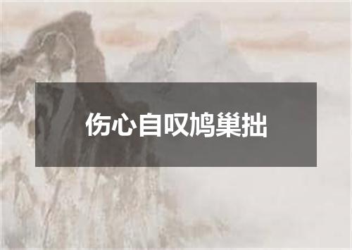 伤心自叹鸠巢拙