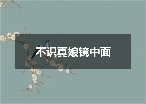 不识真娘镜中面
