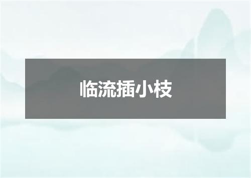 临流插小枝