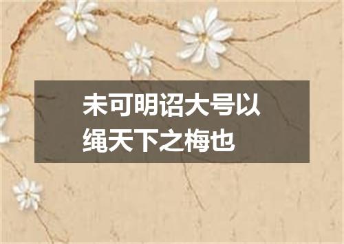 未可明诏大号以绳天下之梅也