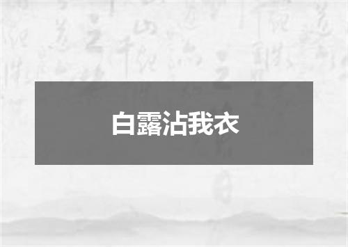 白露沾我衣
