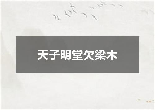 天子明堂欠梁木