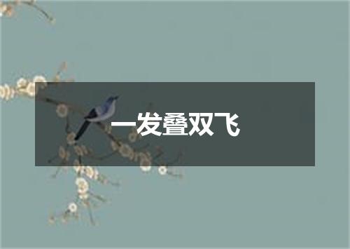 一发叠双飞