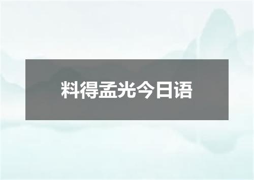 料得孟光今日语