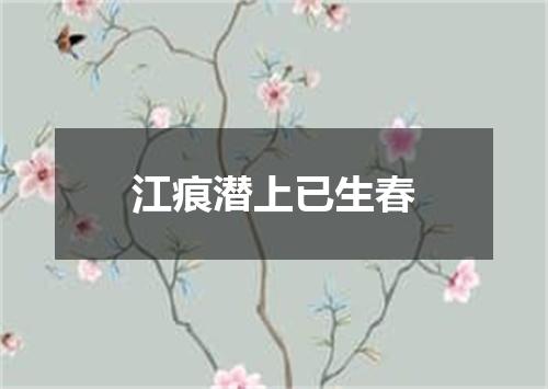 江痕潜上已生春