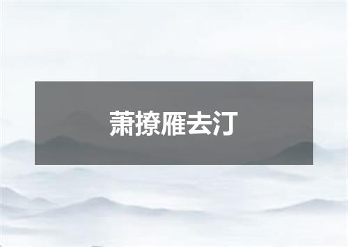 萧撩雁去汀