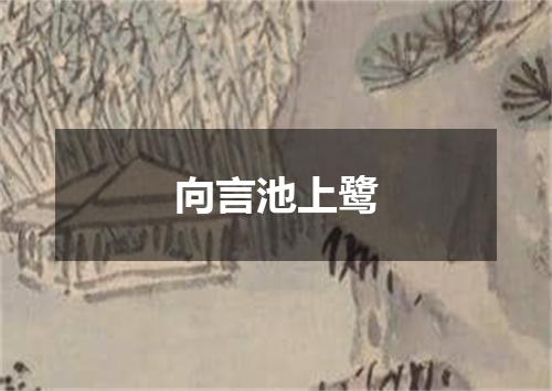 向言池上鹭