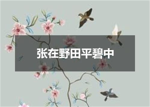 张在野田平碧中