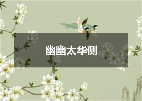 幽幽太华侧