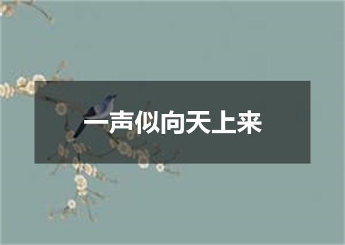 一声似向天上来