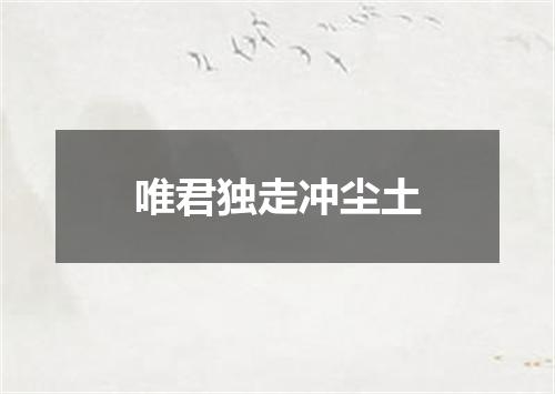 唯君独走冲尘土
