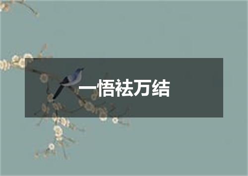 一悟袪万结