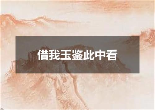 借我玉鉴此中看