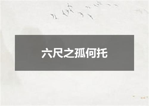 六尺之孤何托