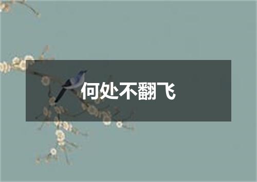 何处不翻飞