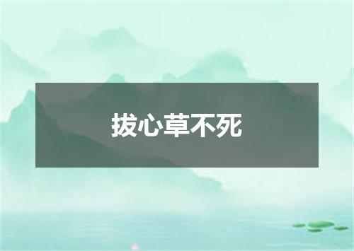 拔心草不死