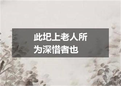 此圯上老人所为深惜者也