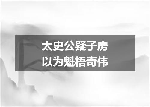 太史公疑子房以为魁梧奇伟