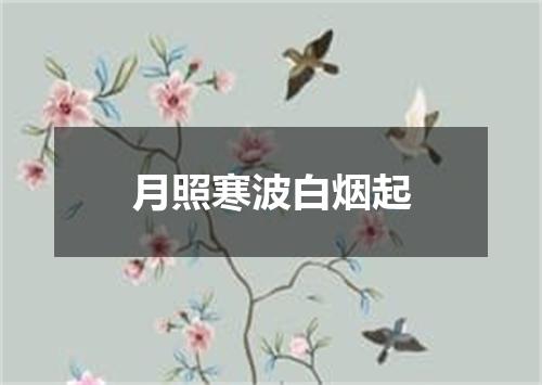 月照寒波白烟起