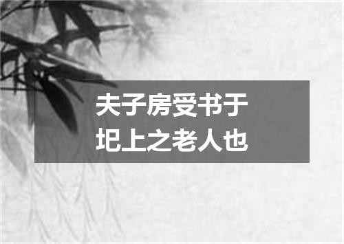 夫子房受书于圯上之老人也