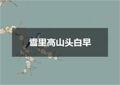 雪里高山头白早