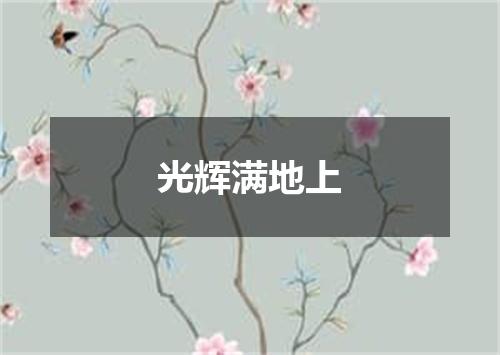 光辉满地上