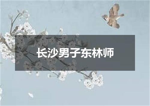 长沙男子东林师