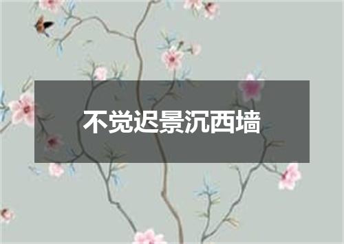 不觉迟景沉西墙