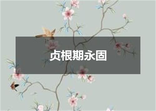 贞根期永固