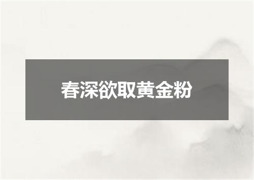 春深欲取黄金粉