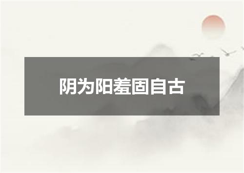 阴为阳羞固自古