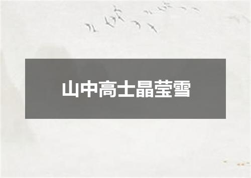 山中高士晶莹雪