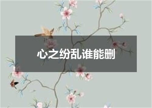 心之纷乱谁能删