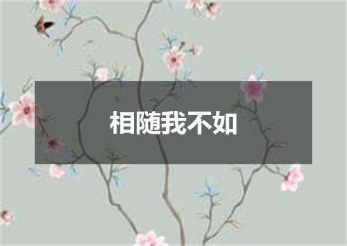 相随我不如