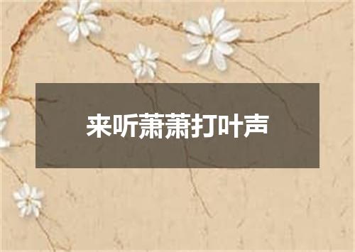 来听萧萧打叶声