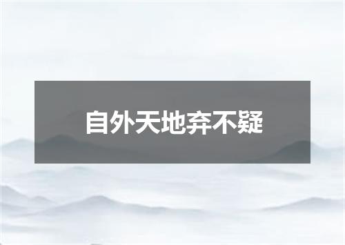 自外天地弃不疑