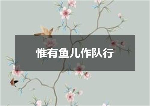 惟有鱼儿作队行