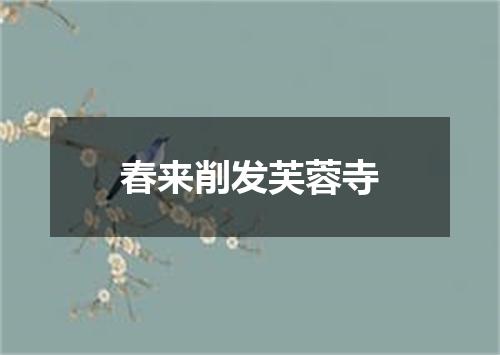 春来削发芙蓉寺