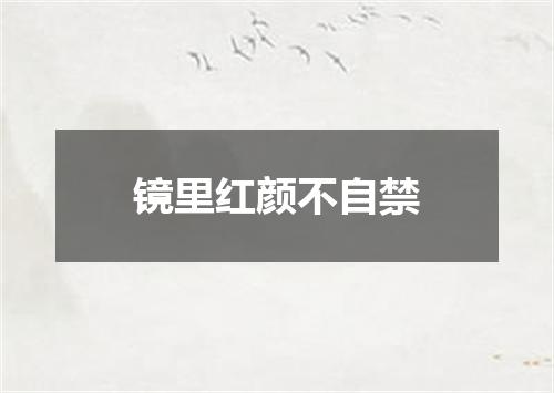 镜里红颜不自禁