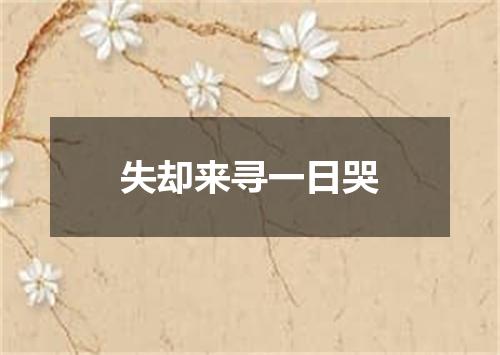 失却来寻一日哭