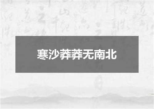 寒沙莽莽无南北