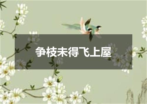 争枝未得飞上屋