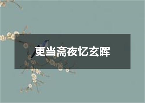 更当斋夜忆玄晖