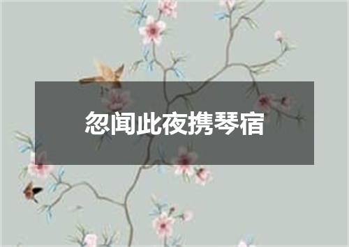 忽闻此夜携琴宿