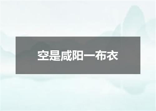 空是咸阳一布衣