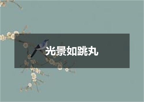 光景如跳丸